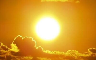 Het belang van het innemen van vitamine D3 in de vorm van cholecalciferol